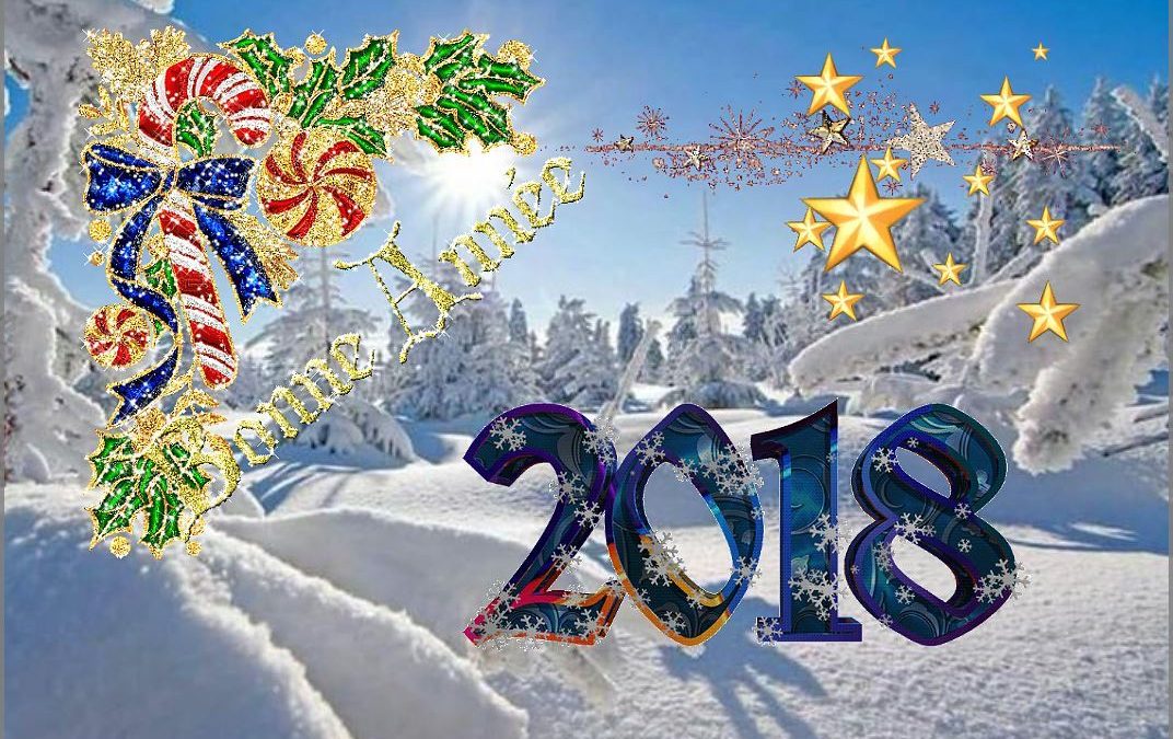 BONNE ANNEE !!!!!