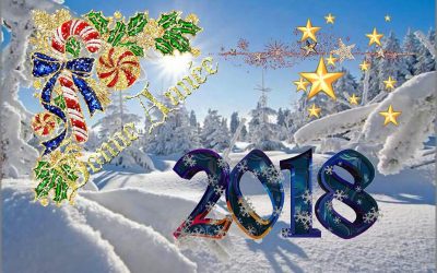 BONNE ANNEE !!!!!