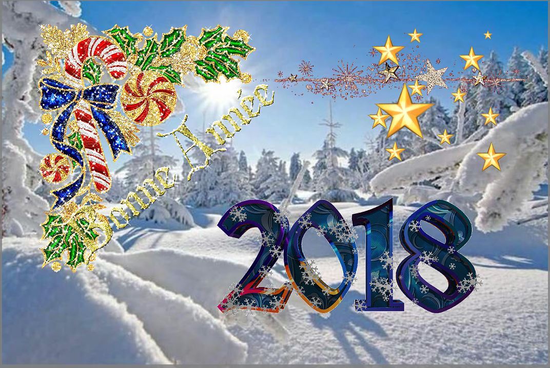 BONNE ANNEE !!!!!