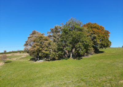 IMG-20211016-WA0018