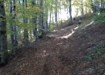 IMG-20211016-WA0054