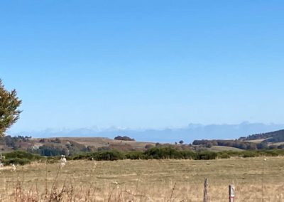 IMG-20211017-WA0009