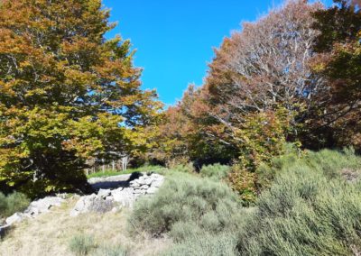 IMG-20211017-WA0060