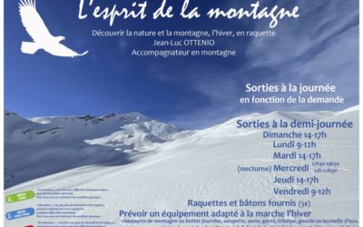 LES RANDOS RAQUETTES